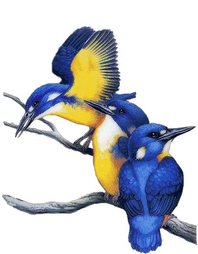 容易读错的108个多音字,常见易混淆的108个多音字