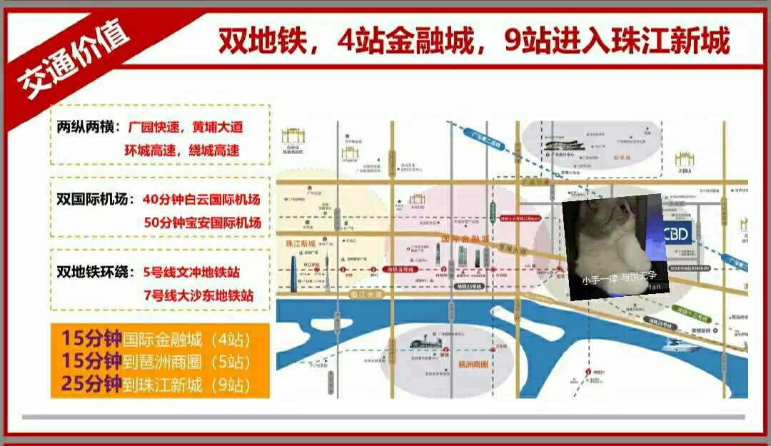 中新cbd,中新科技做什么产品