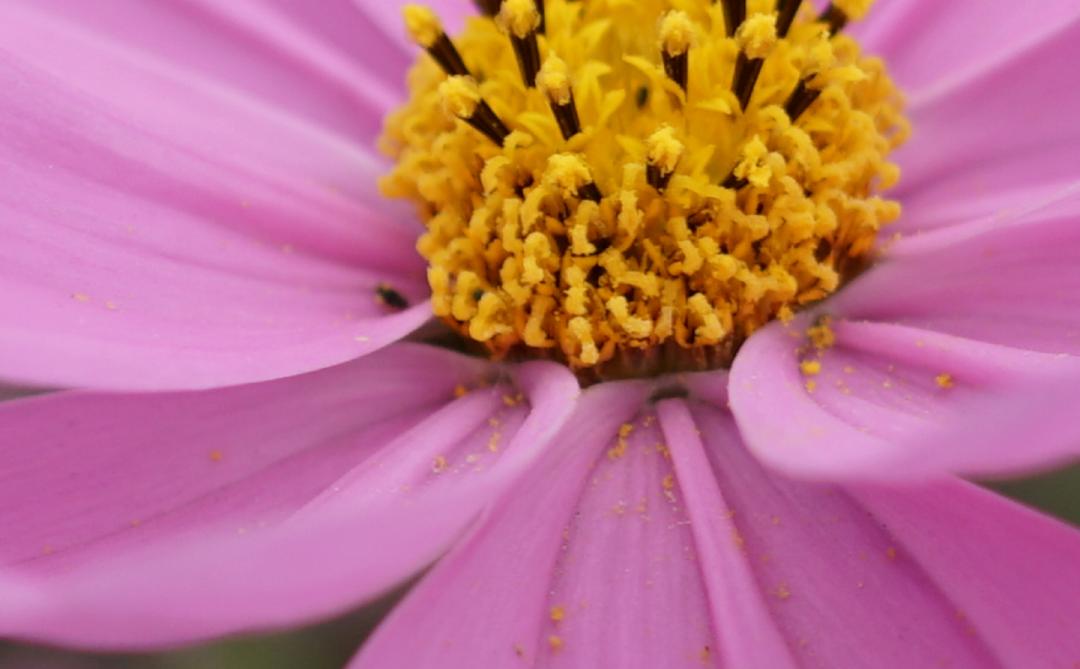 腾龙75-180与85定焦镜头,超值长焦定焦