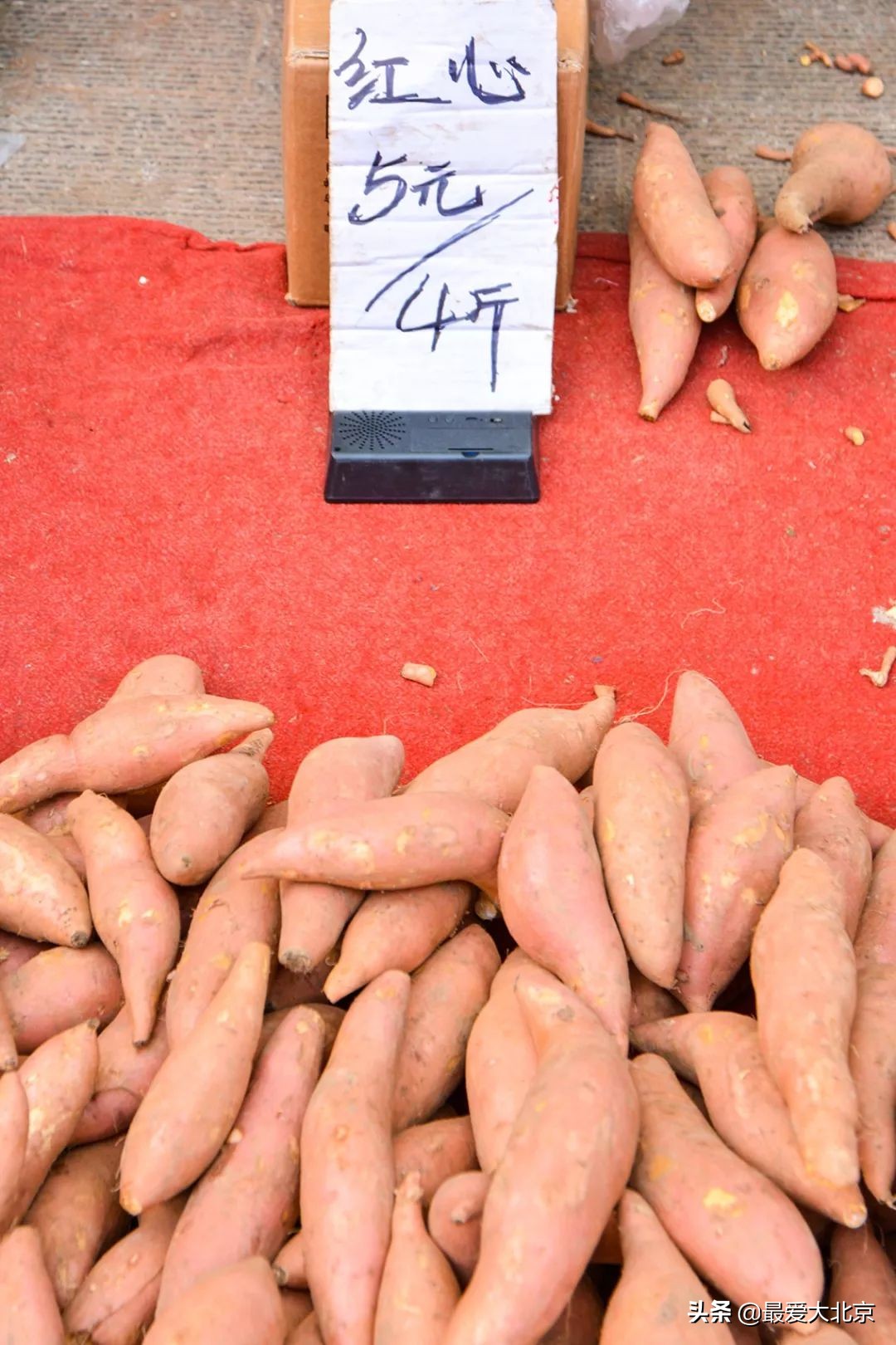 带你逛北京最大早市,北京正宗早市推荐