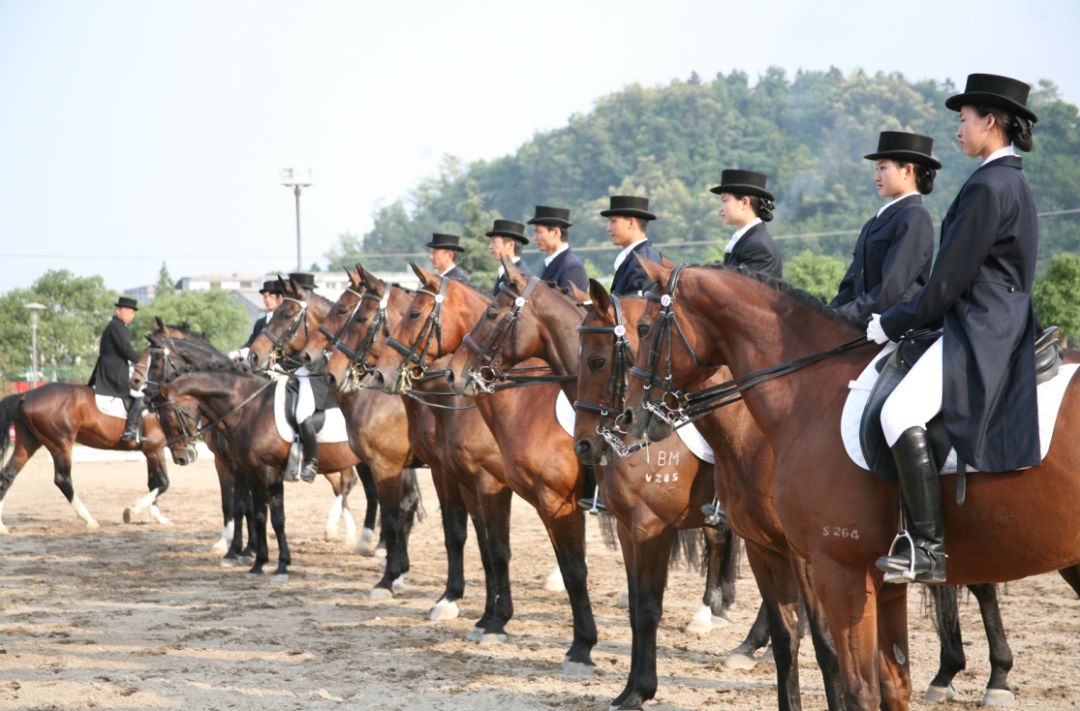 温州旅游景区一日游,温州海边旅游景区推荐