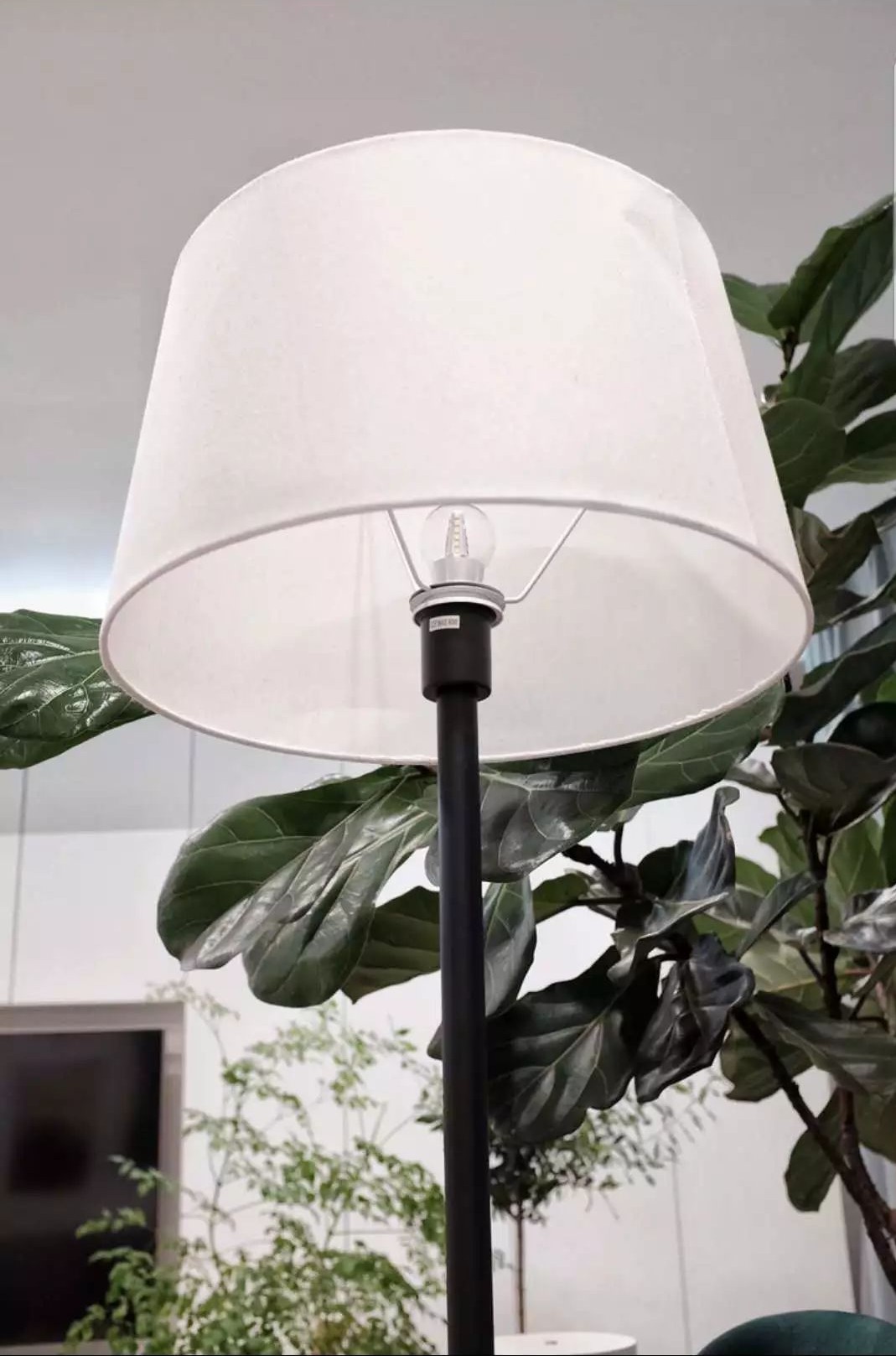 北欧简约风主卧婚房,小户型北欧风格婚房装修