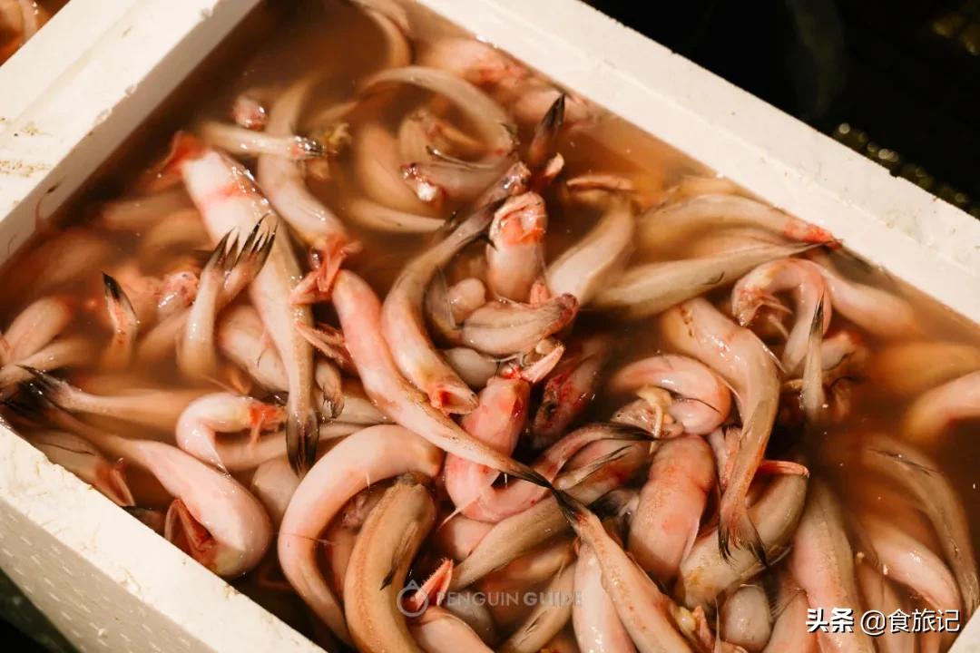 广州最大的海鲜水产批发市场,南京最大的水产批发市场在哪里