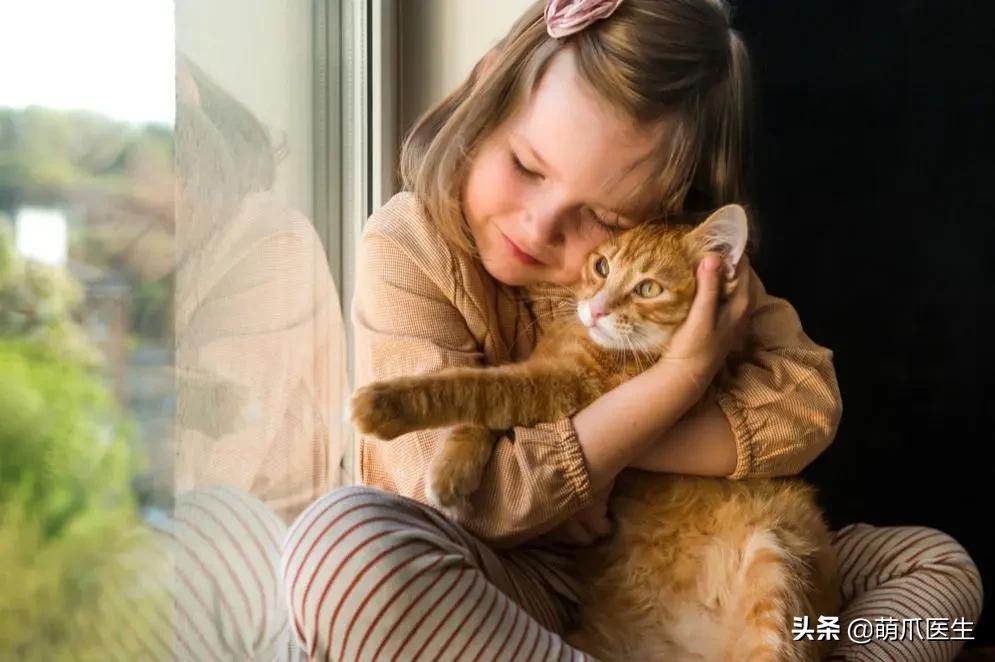 猫在被子里憋死,猫在体内就憋死了