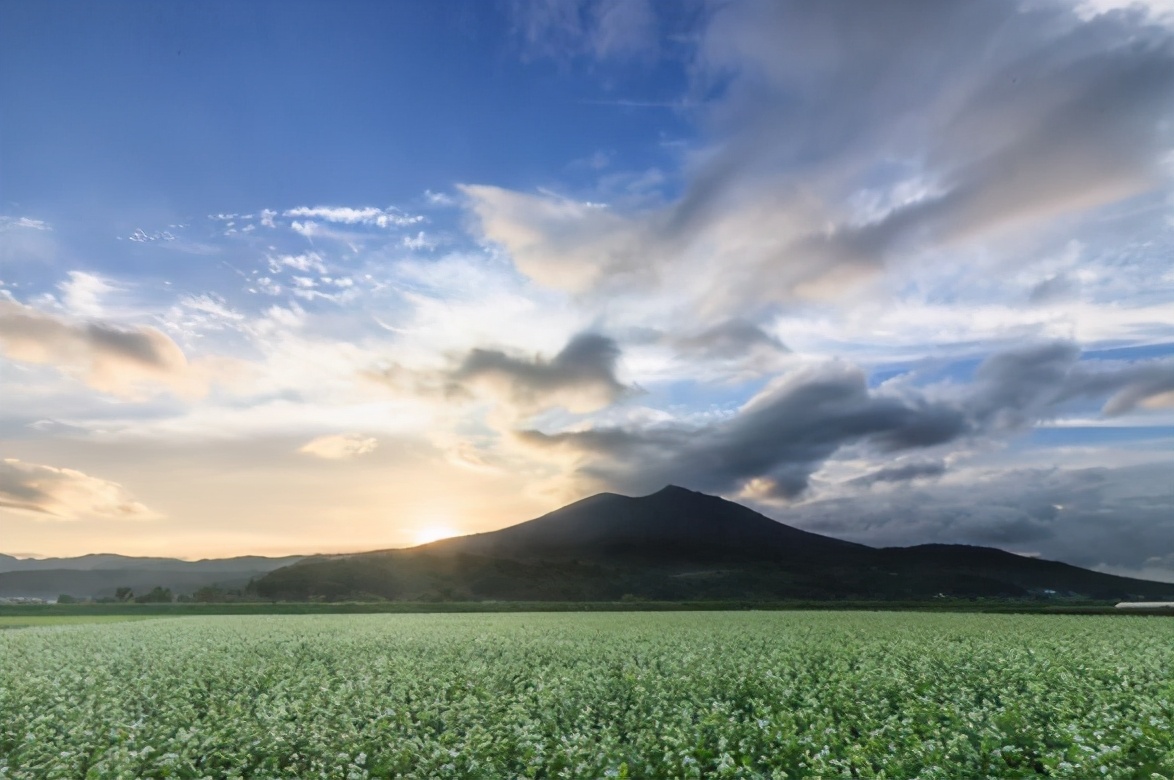 日本茨城观光之旅视频,从东京可以一日游去日本茨城玩