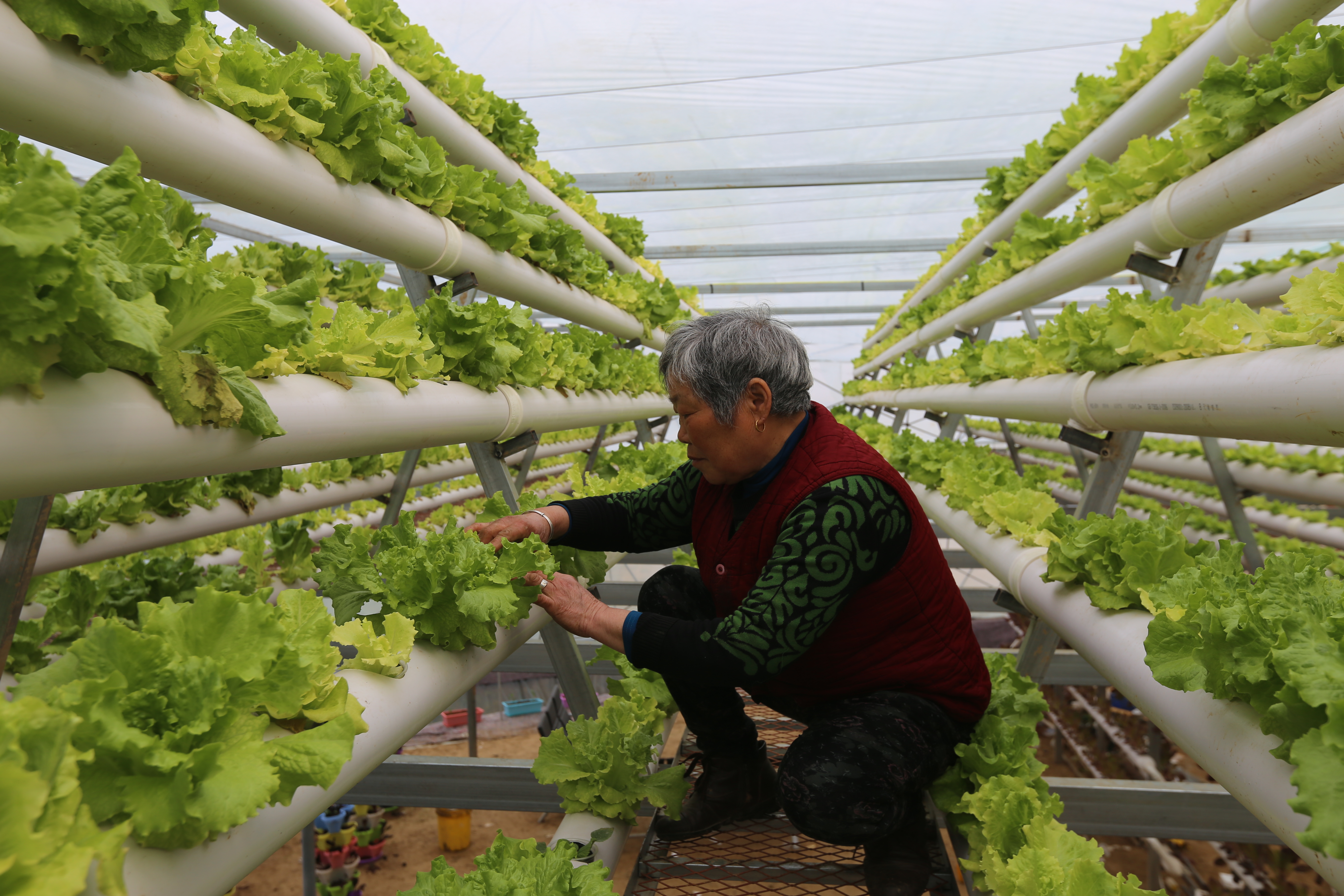 淮滨发展新机遇,淮滨发展建议