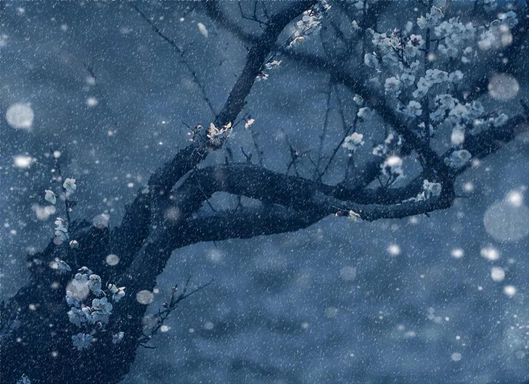 香港第14届全国摄影艺术展,第29届全国摄影艺术展览获奖名单