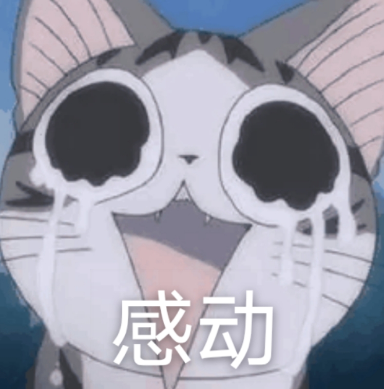 生活在宠物天堂的动物,在天堂的猫狗