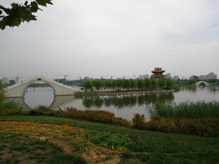 中医十八反和十九畏的理论,中医的十八反十九畏歌诀和注释