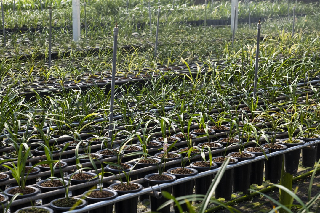 南靖景区有哪些好玩的,南靖风景好的地方推荐