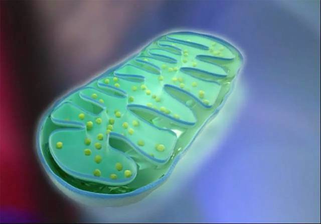 自闭症药物研究进展2020,自闭症最新研究