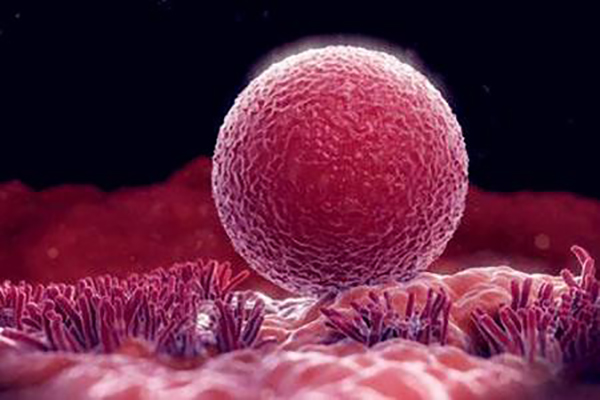 有什么方法判断是否怀孕,中医判断怀孕最简单的方法