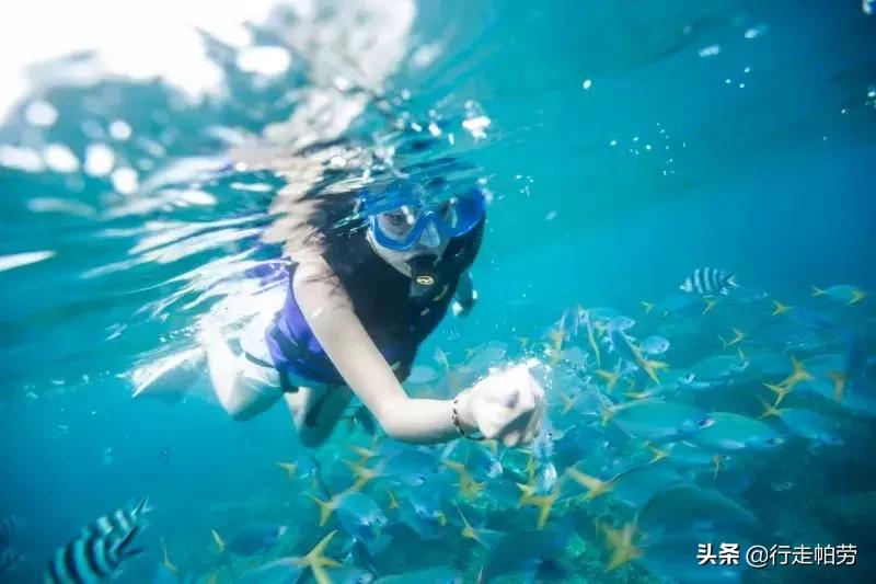 6个理由,帕劳是否值得去