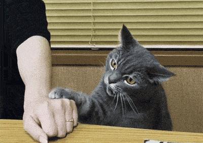 辟谣用自来水煮食物致癌,央视辟谣净水器会过滤掉矿物质