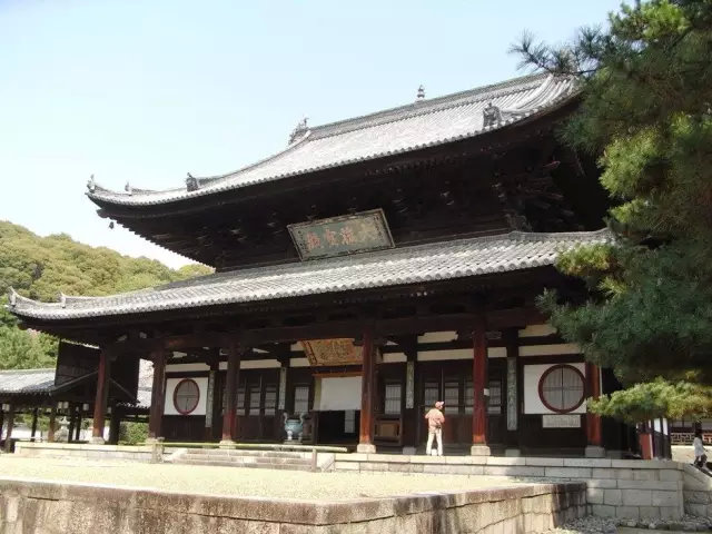 日本省钱妙招1000例,日本自由行攻略小视频