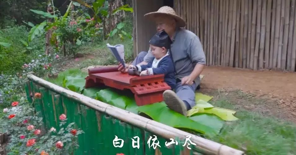 近日李子柒视频走红,李子柒爷爷最火视频