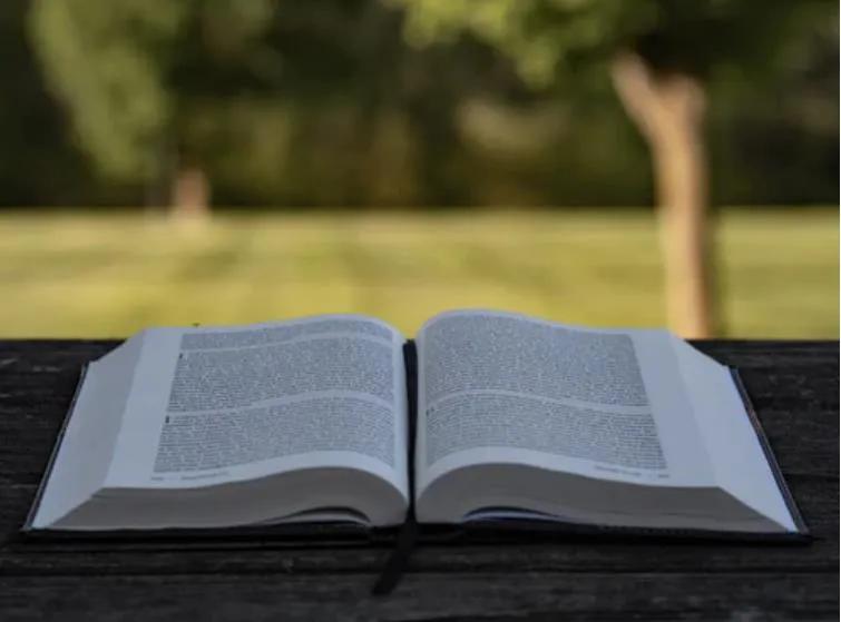 世界名著必读经典励志语录,世界名著励志语录