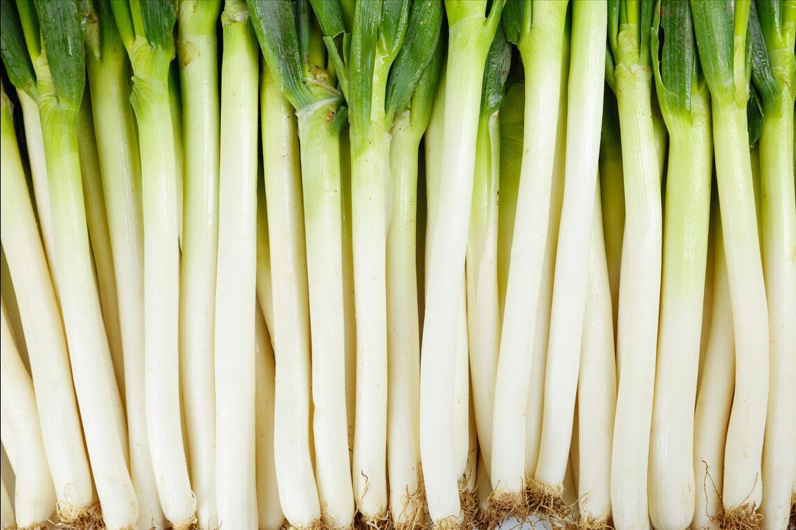 保存大葱不空心不黄叶的好方法,大葱怎样保存不干而不烂