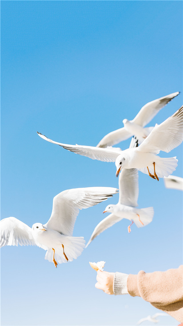 高清壁纸8k风景壁纸,风景壁纸超清手机壁纸