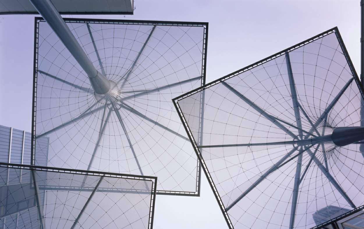 荷叶的叶面为什么不沾水简单介绍,荷叶为什么不沾水的原因简单说明