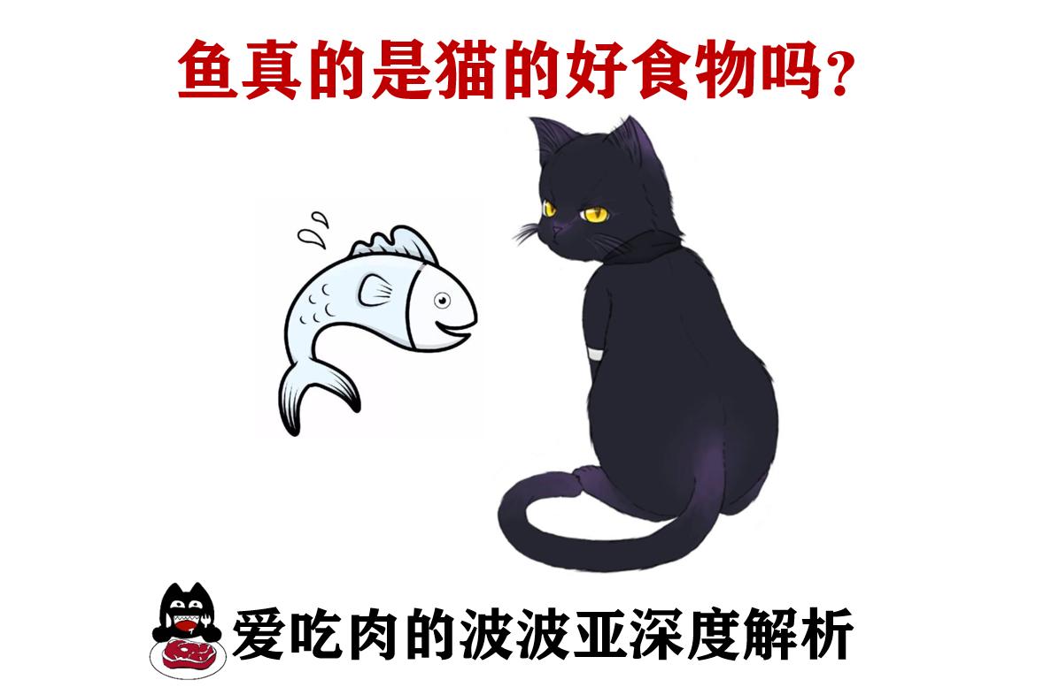 猫常吃鱼怎么样,猫可以经常吃什么鱼