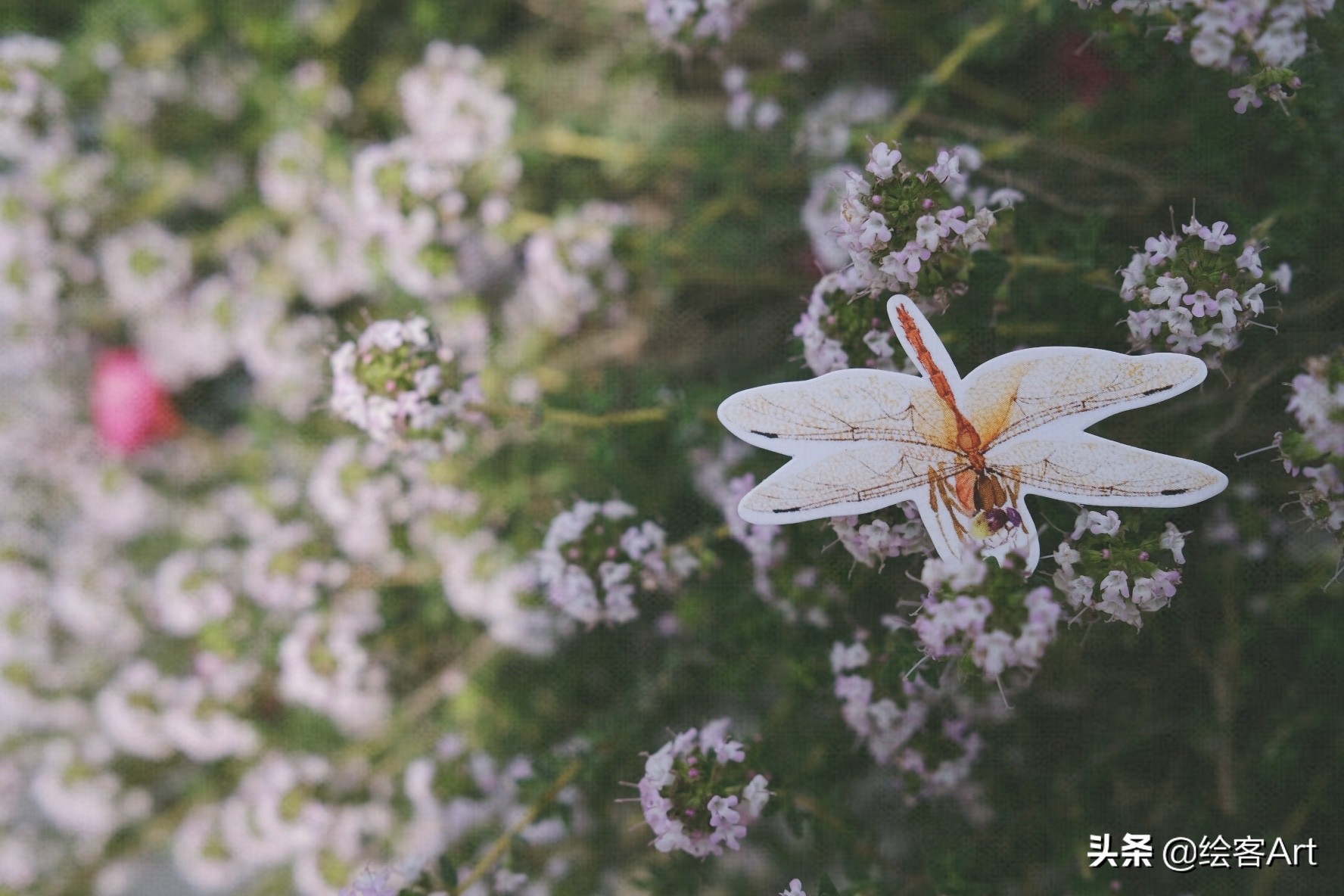 小清新写意国画,值得收藏的小写意国画