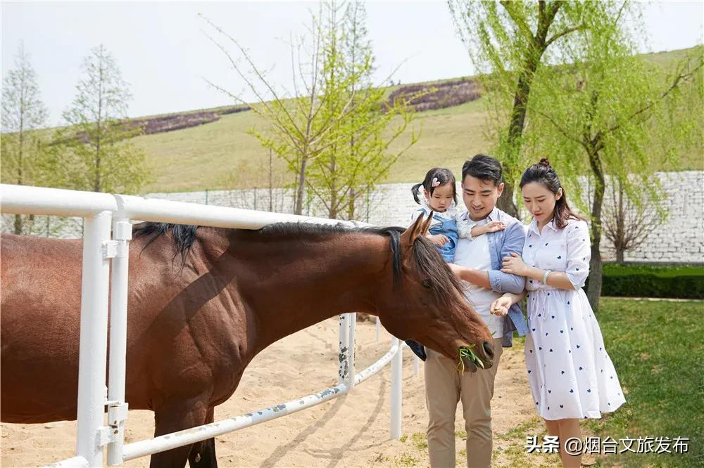 中秋佳节来龙口南山，一份游玩攻略送给你！