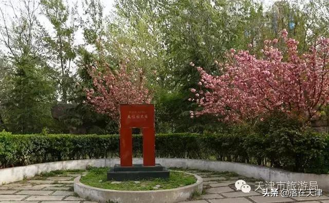 天津桃花堤开放吗,天津桃花堤桃花什么时间开花