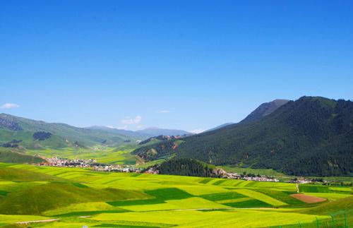 麦当劳人造肉产品,麦当劳人造肉最新消息