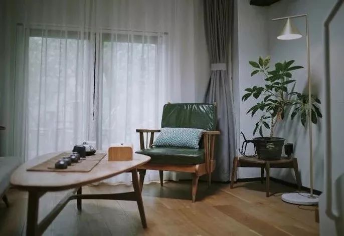 净化空气吸甲醛最好的植物大盆栽,净化空气除甲醛室内最佳植物排名