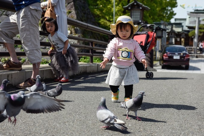 怎么优雅的带小孩,如何带着孩子快乐的去旅行