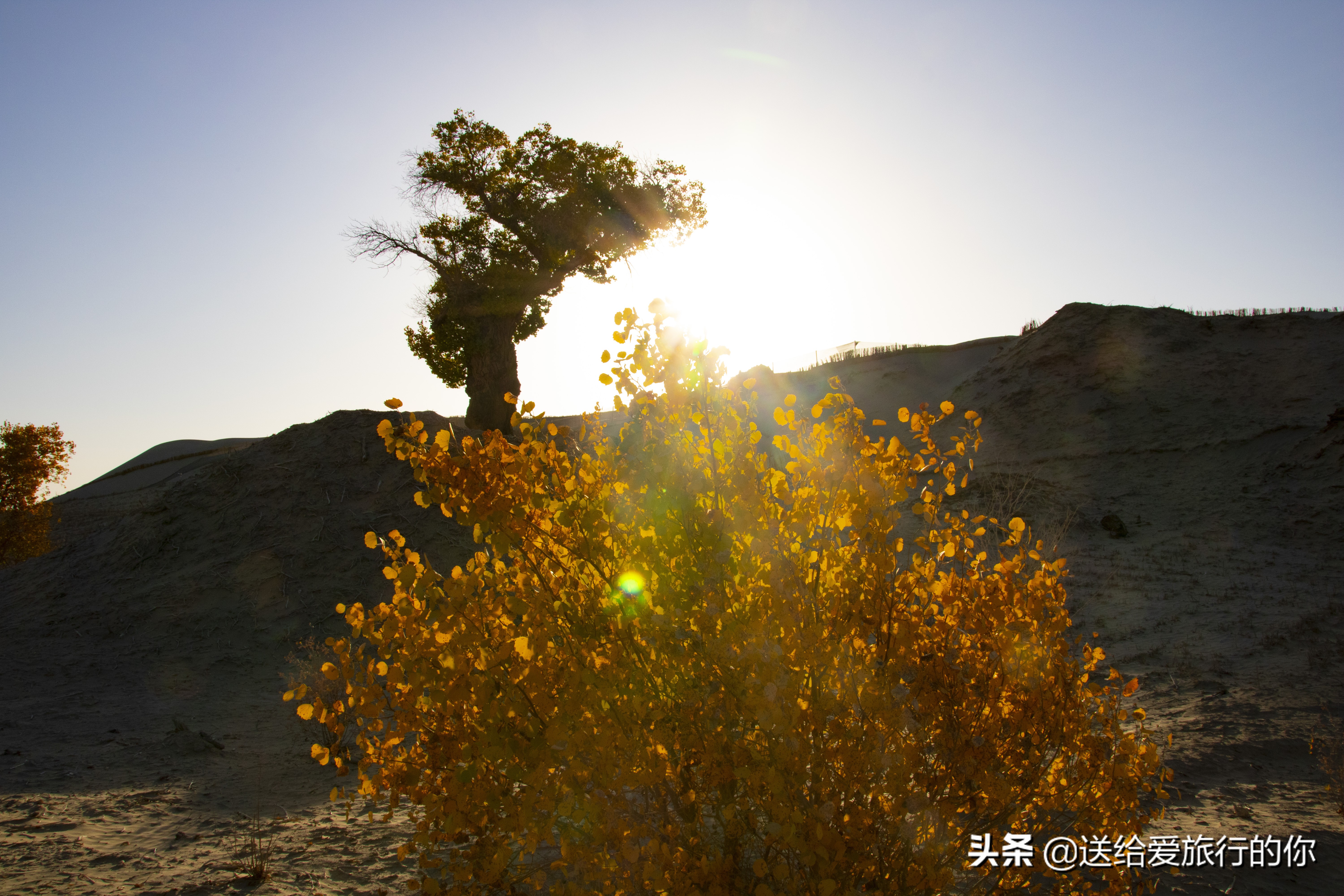 新疆喀什有什么变化,喀什到底有什么魅力