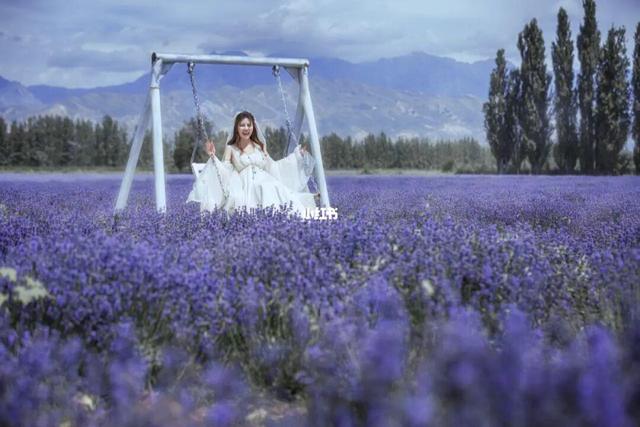 适合卧室养的10种花,养金枝玉叶放卧室可以改善睡眠吗