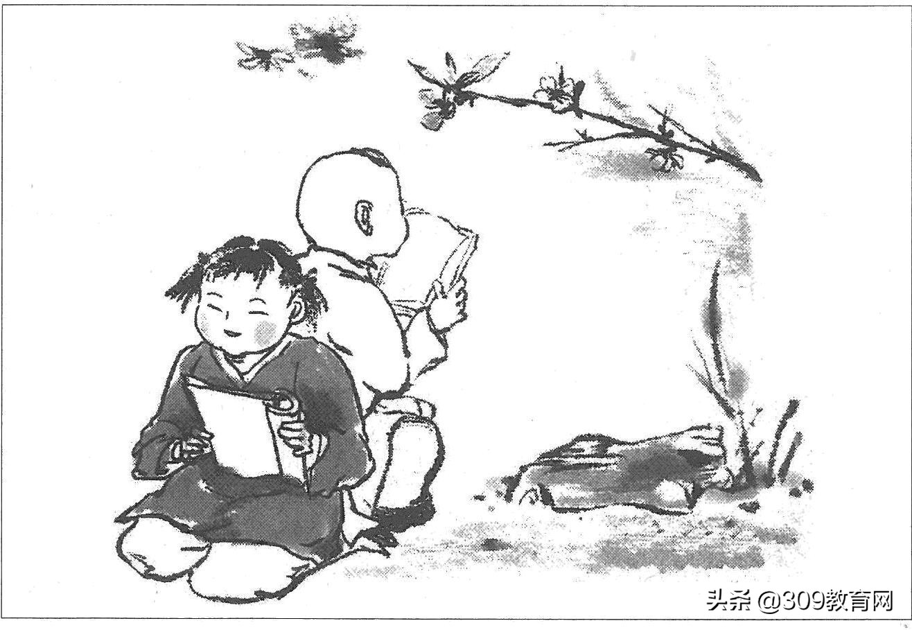 中考语文知识点归纳视频,上海中考语文必考重点知识点