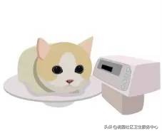 狂犬病的真相请不要再无知下去了,狂犬病不可怕别被谣言误导啦