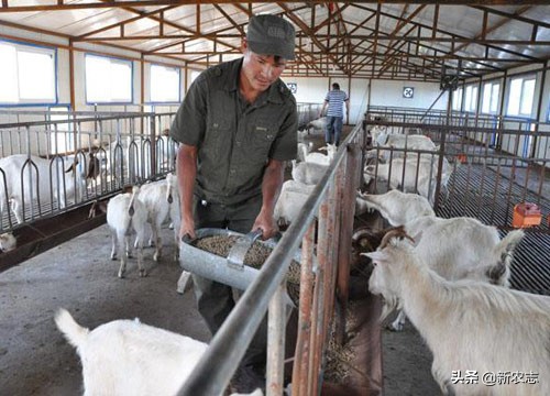 三四万元小型办厂项目农民想创业,4个最适合穷人的农村致富项目