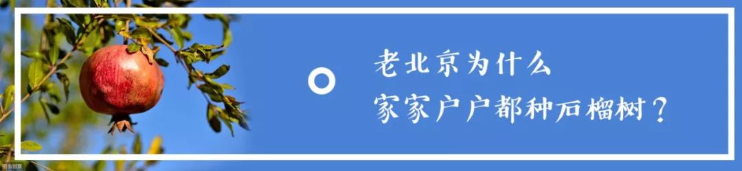 北京三大贵族学校,北京十大贵族学校