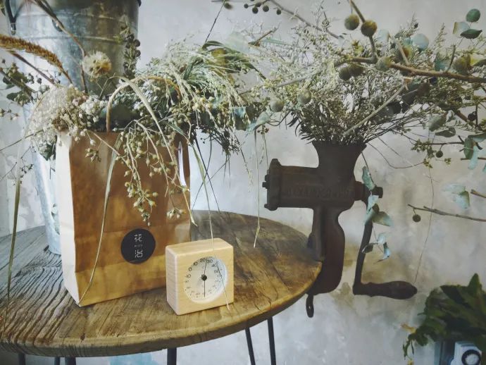 她辞去总监回家扶贫后续,她辞去总监回家扶贫结局