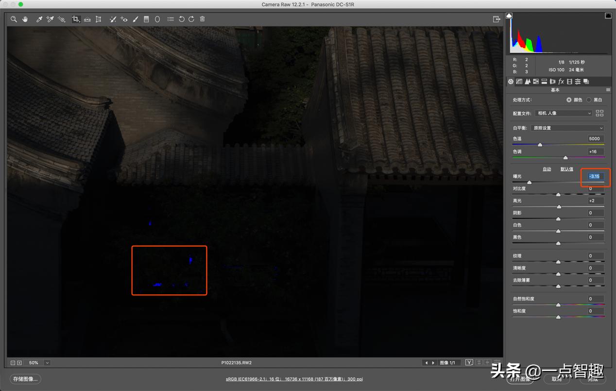 一亿像素手机拍照对比,主摄一亿像素的手机