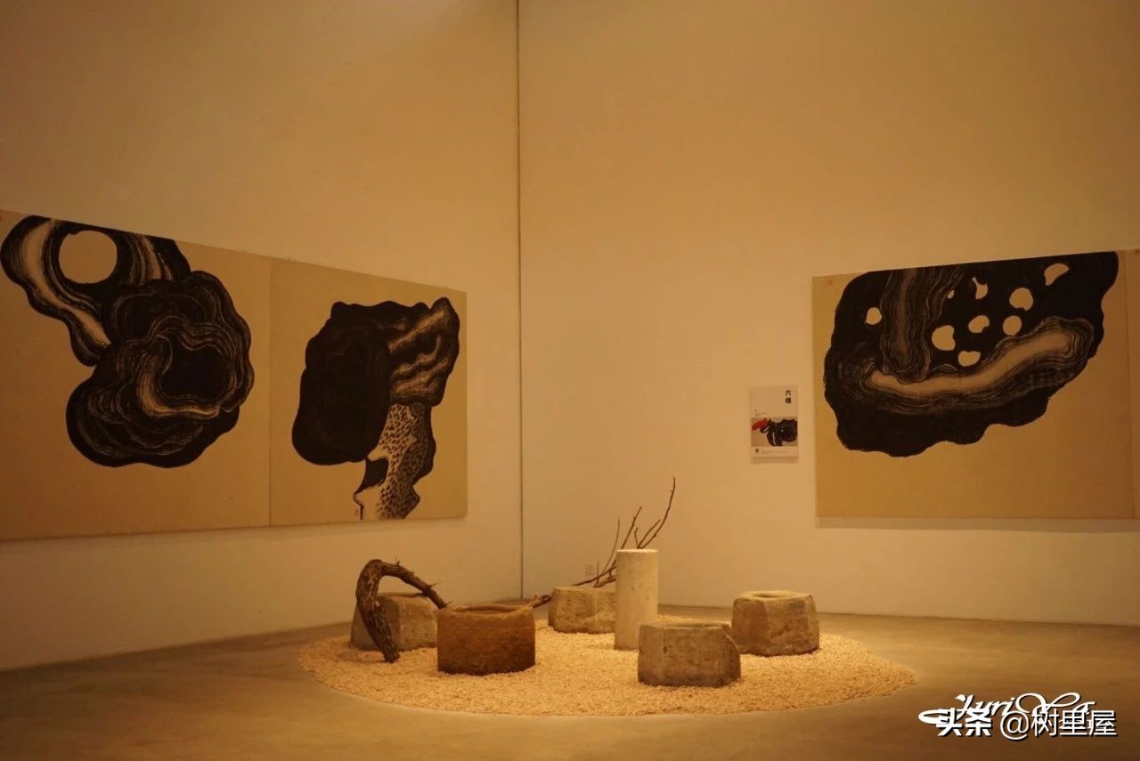 #福西探店#002——苏州本色美术馆