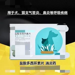 猫鼻支是怎么诊断的，又该怎么办呢？|猫鼻支治疗方法一览