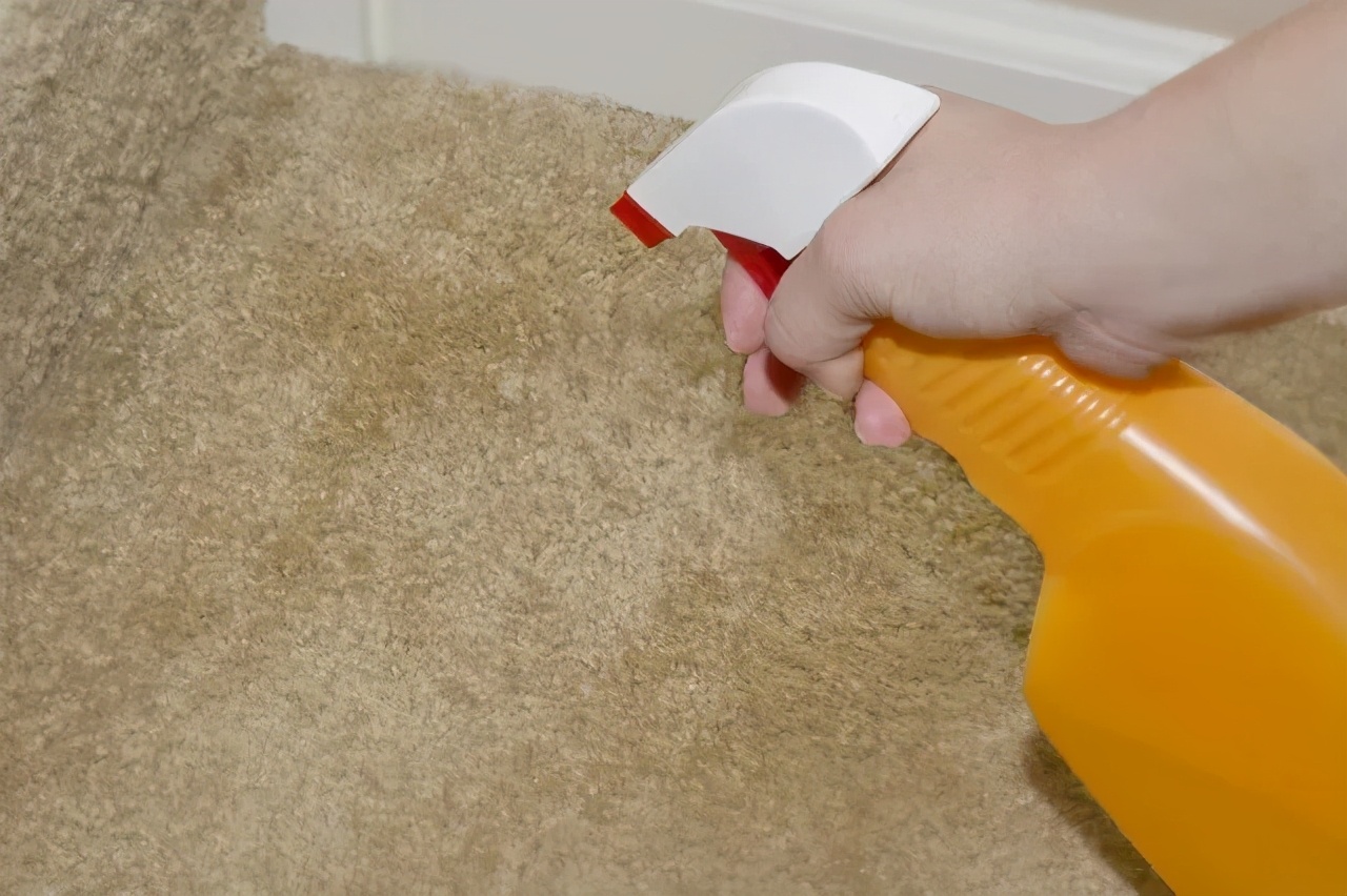 猫咪乱尿怎么办三招教你搞定烦恼,猫咪养在房间里味道太大了怎么办