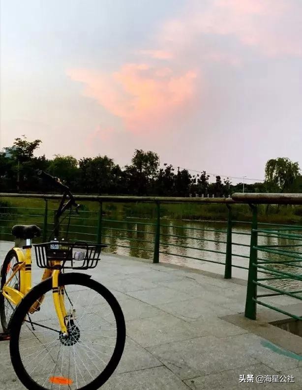 无锡十大免费公园排名榜最新,无锡晚上公园免费景点