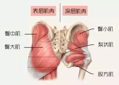 急速美臀丨翘臀新花样：惊艳你的朋友圈