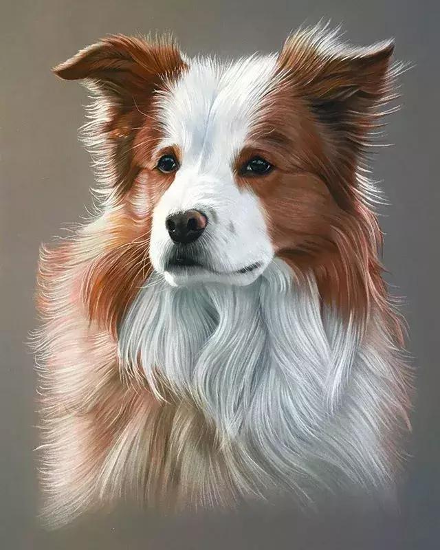 彩铅不会涂色怎么办,彩铅绘画干货