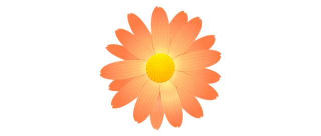 如何提升PPT设计能力,如何提升自己的ppt创意