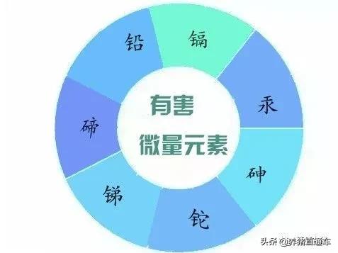 大量毒素对猪有什么危害,猪微量元素中毒有什么症状