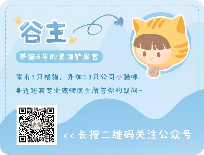 被猫抓出血了要不要打狂犬,被家猫抓伤出血要打狂犬疫苗吗