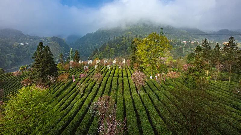 峨眉十大网红打卡地,峨眉网红打卡景点