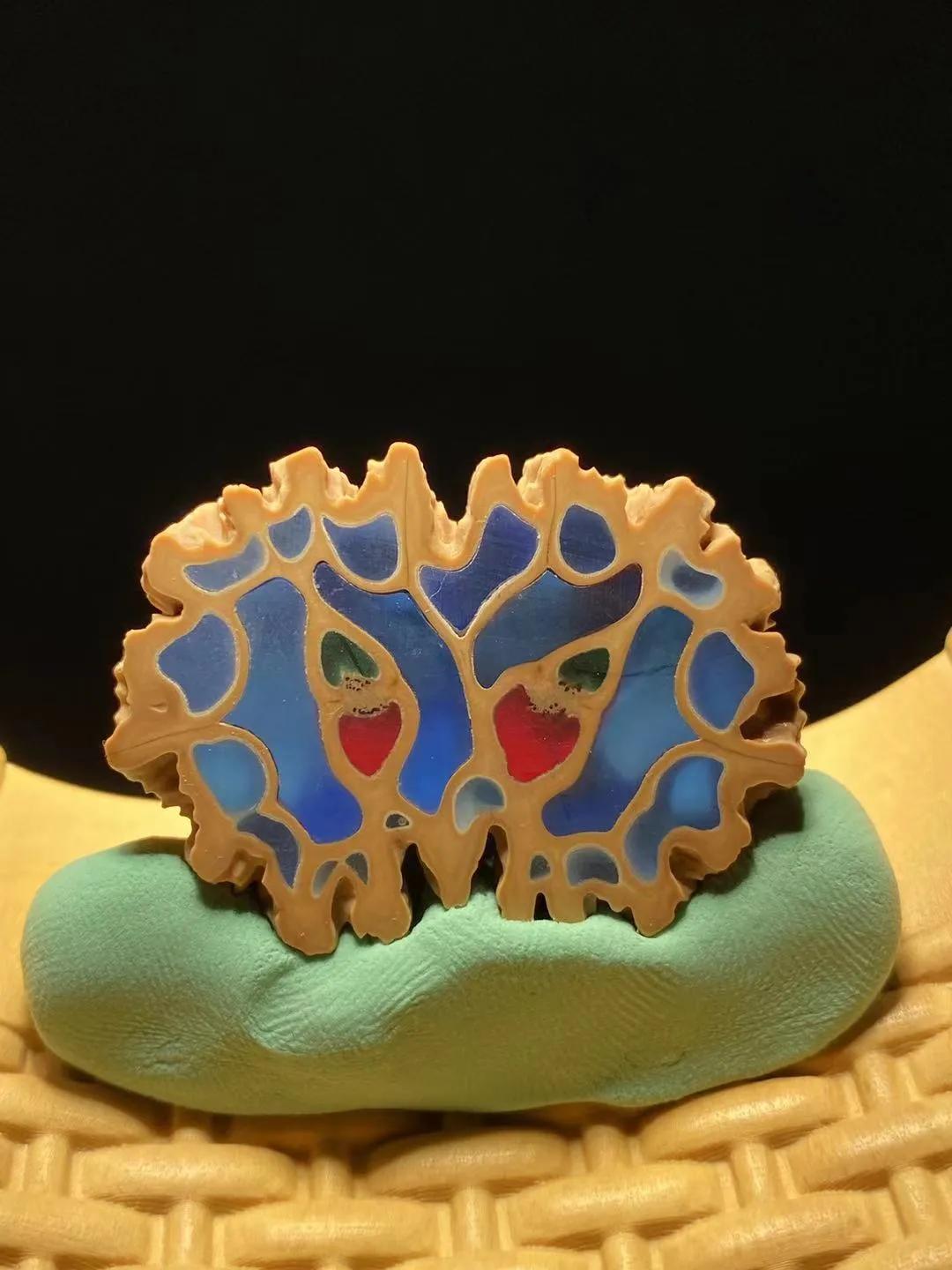 高档核桃核,核桃核精品